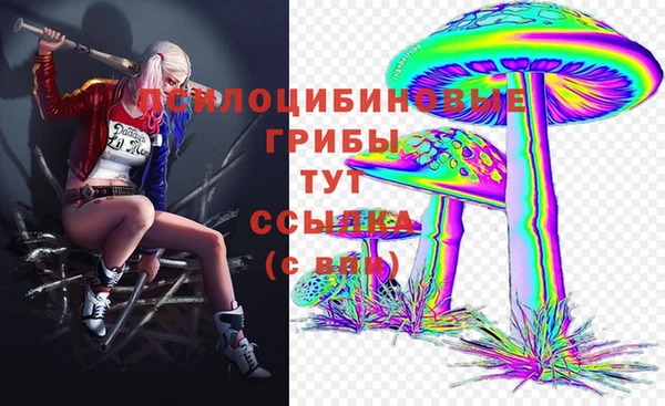 твердый Рославль